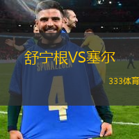 舒宁根VS塞尔