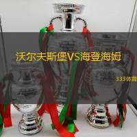 沃尔夫斯堡VS海登海姆