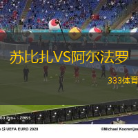 苏比扎VS阿尔法罗