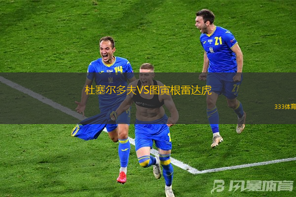 杜塞尔多夫VS图寅根雷达虎