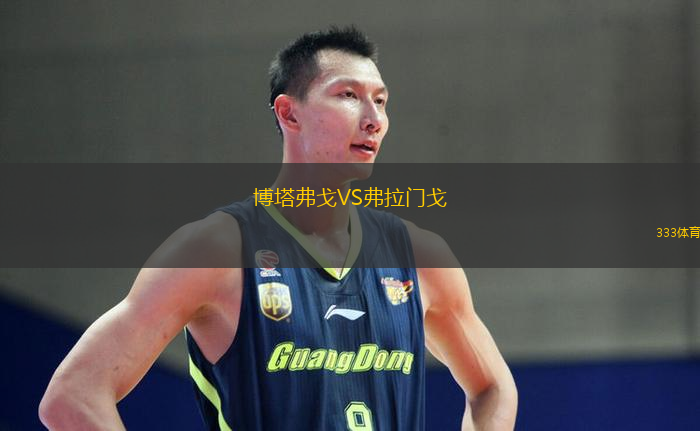 博塔弗戈VS弗拉门戈