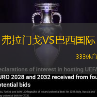 弗拉门戈VS巴西国际