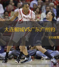 大连鲲城VS广东广州豹