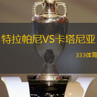 特拉帕尼VS卡塔尼亚
