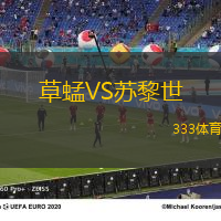 草蜢VS苏黎世