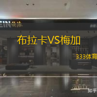 布拉卡VS梅加