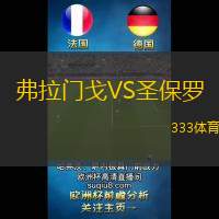弗拉门戈VS圣保罗