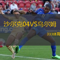 沙尔克04VS乌尔姆