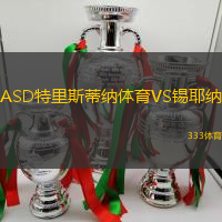 ASD特里斯蒂纳体育VS锡耶纳