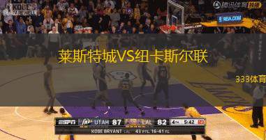 莱斯特城VS纽卡斯尔联