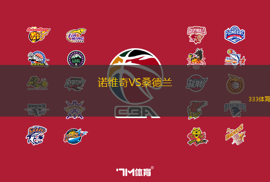 诺维奇VS桑德兰