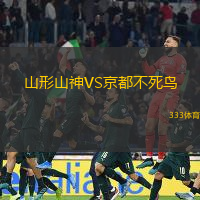 山形山神VS京都不死鸟