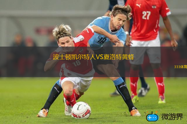 波士顿凯尔特人VS夏洛特黄蜂