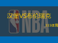 汉堡VS布伦瑞克