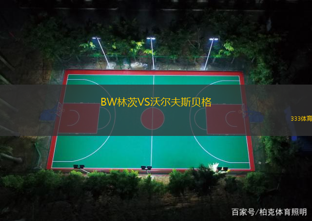 BW林茨VS沃尔夫斯贝格
