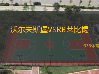 沃尔夫斯堡VSRB莱比锡