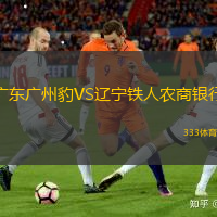 广东广州豹VS辽宁铁人农商银行