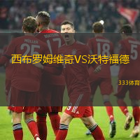 西布罗姆维奇VS沃特福德