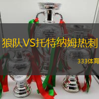 狼队VS托特纳姆热刺