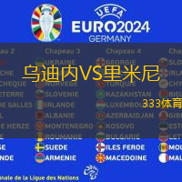 乌迪内VS里米尼