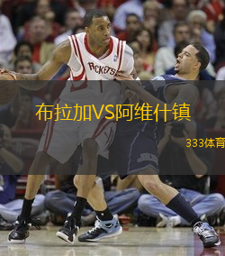 布拉加VS阿维什镇