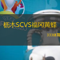 枥木SCVS福冈黄蜂