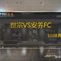 世宗VS安养FC