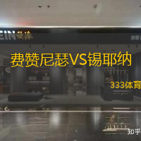 费赞尼瑟VS锡耶纳