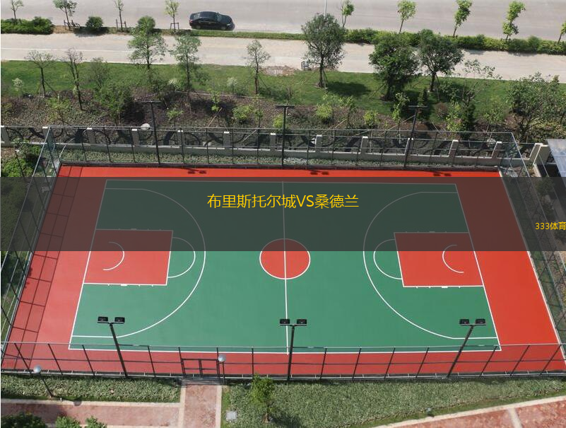 布里斯托尔城VS桑德兰