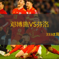 邓博施VS芬洛
