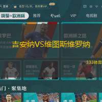 吉安纳VS维图斯维罗纳