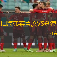 旧海弗莱鲁汶VS登德