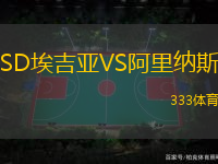 SD埃吉亚VS阿里纳斯