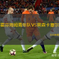 霍芬海姆青年队VS黑森卡塞尔