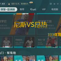 尼斯VS昂热