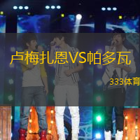 卢梅扎恩VS帕多瓦