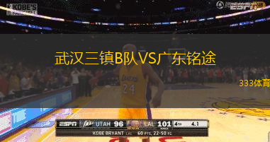 武汉三镇B队VS广东铭途