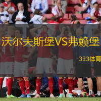 沃尔夫斯堡VS弗赖堡