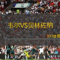 韦尔VS贝林佐纳