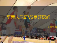 斯蒂夫尼奇VS罗瑟汉姆