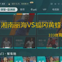 湘南丽海VS福冈黄蜂