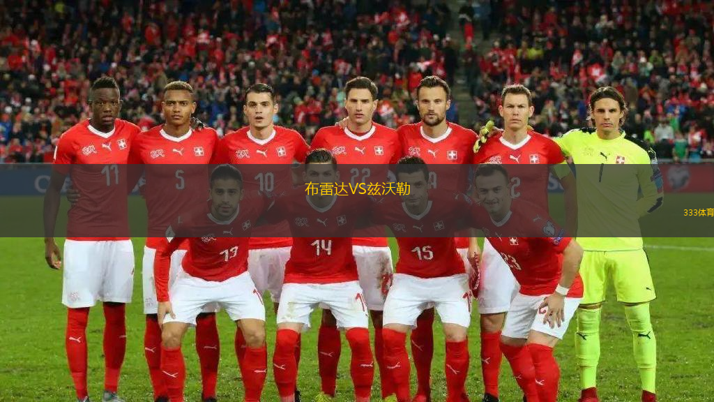 布雷达VS兹沃勒