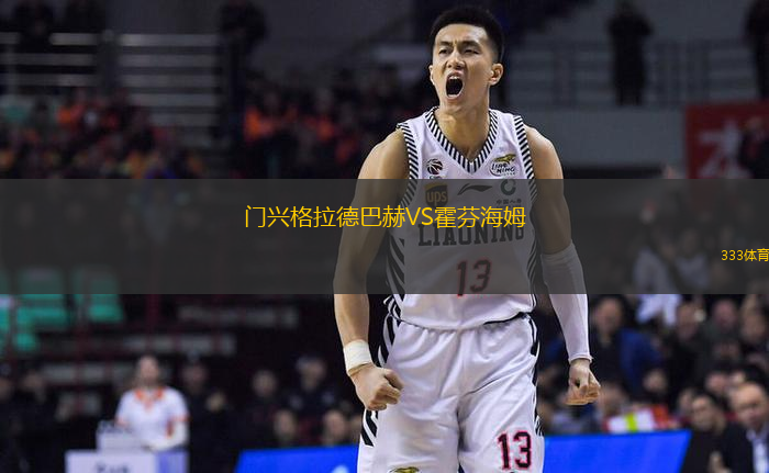 门兴格拉德巴赫VS霍芬海姆