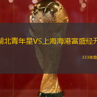 湖北青年星VS上海海港富盛经开