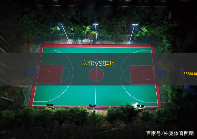 塞尔VS维丹