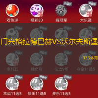 门兴格拉德巴赫VS沃尔夫斯堡