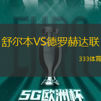 舒尔本VS德罗赫达联