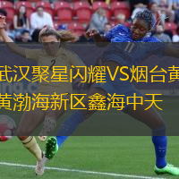 武汉聚星闪耀VS烟台黄渤海新区鑫海中天