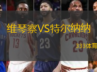 维琴察VS特尔纳纳
