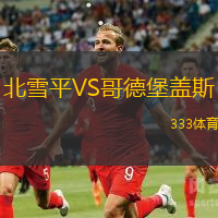 北雪平VS哥德堡盖斯